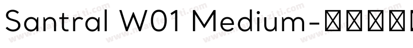 Santral W01 Medium字体转换